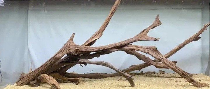 給我推薦一些適合龍魚的沉木和巖石，如何挑選龍魚缸