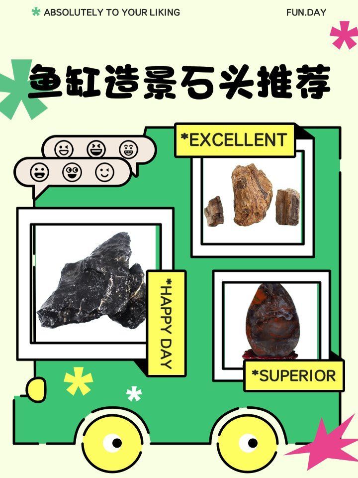 給我推薦一些適合龍魚的沉木和巖石，如何挑選龍魚缸