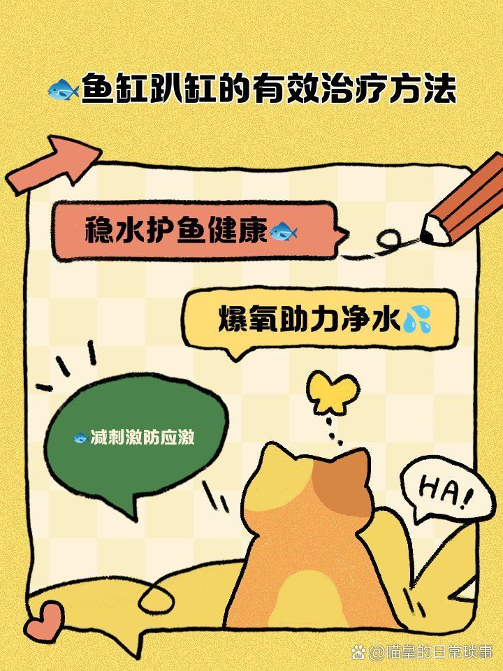有哪些方法可以救活趴缸的魚，有哪些方法可以救活趴缸的魚,魚趴缸不是“偷懶”，而是身體在求救
