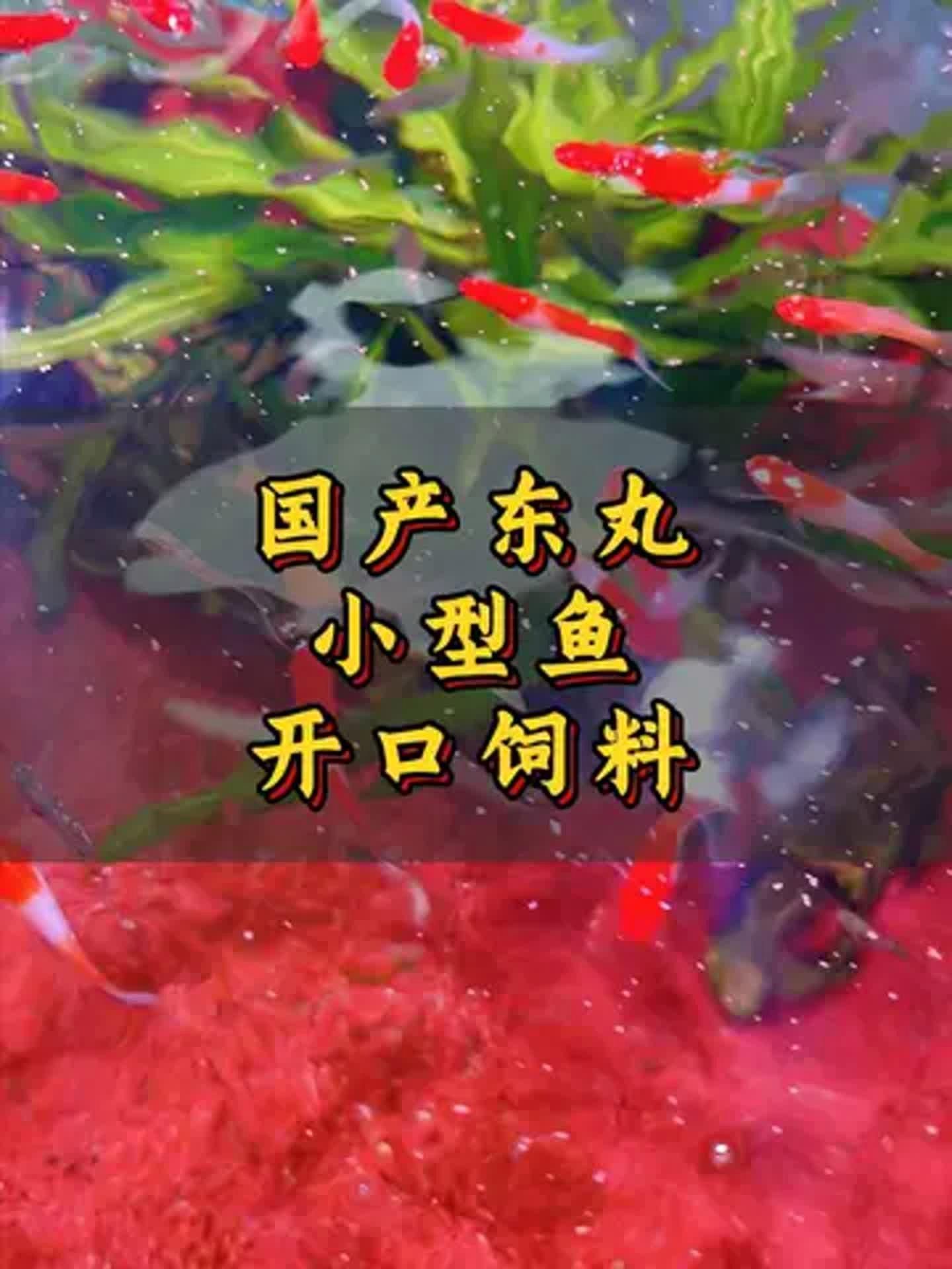 國產魚飼料哪個牌子好，國產魚飼料蛋白質含量達42%慮多個因素選擇