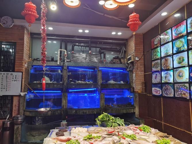 推薦幾家南寧的龍魚餐廳，南寧吃龍魚餐廳推薦