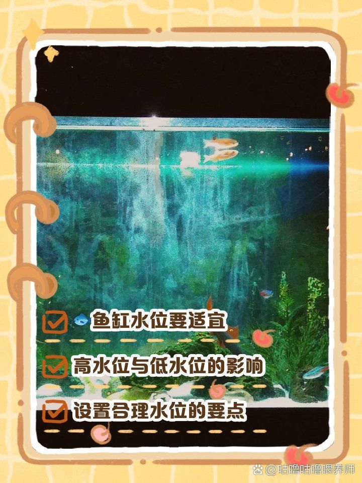 龍魚魚缸水位建議保持在多少，龍魚魚缸水位建議保持在多少,