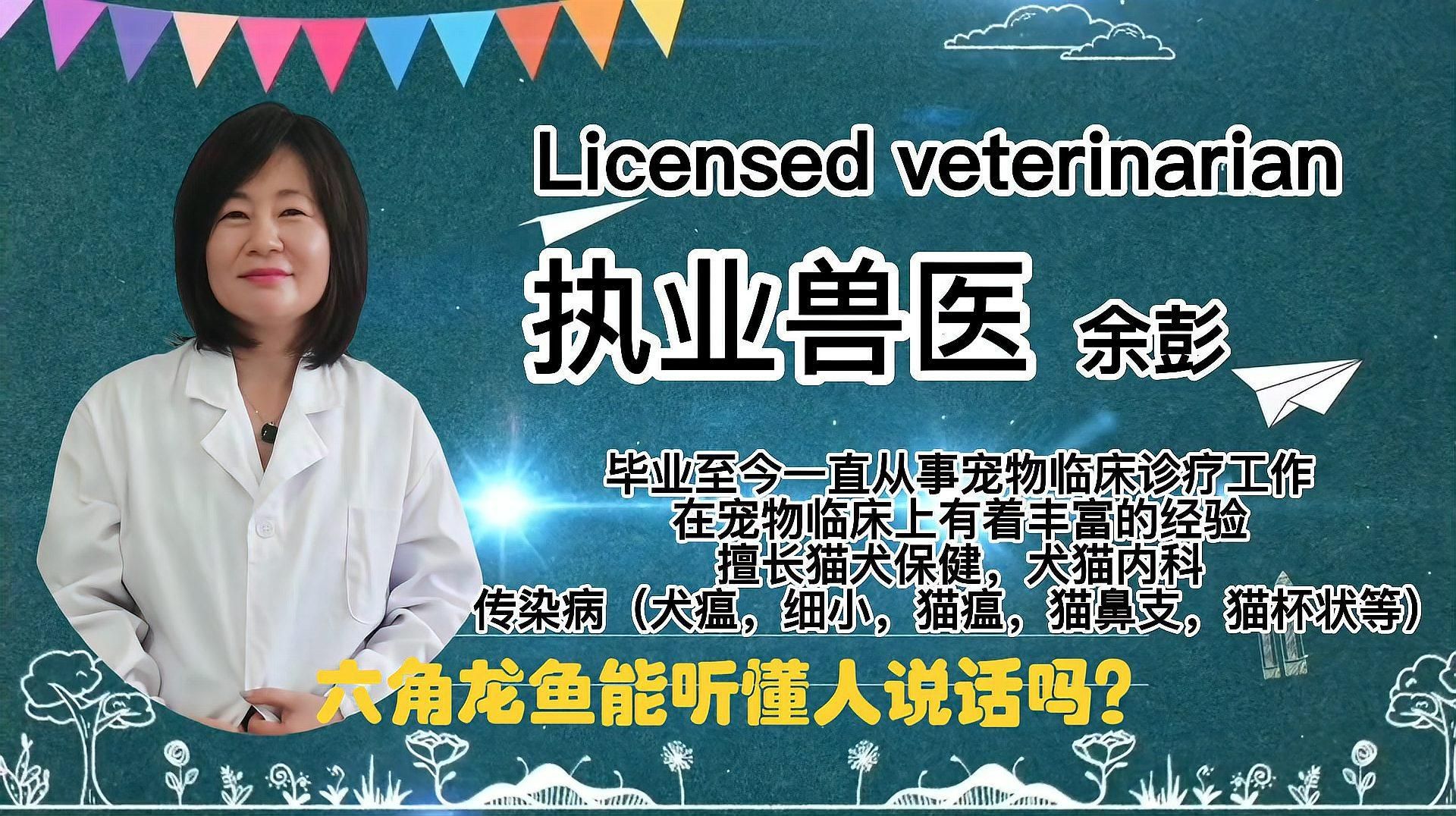 六角龍魚有靈性嗎，六角龍魚是否具有“靈性”