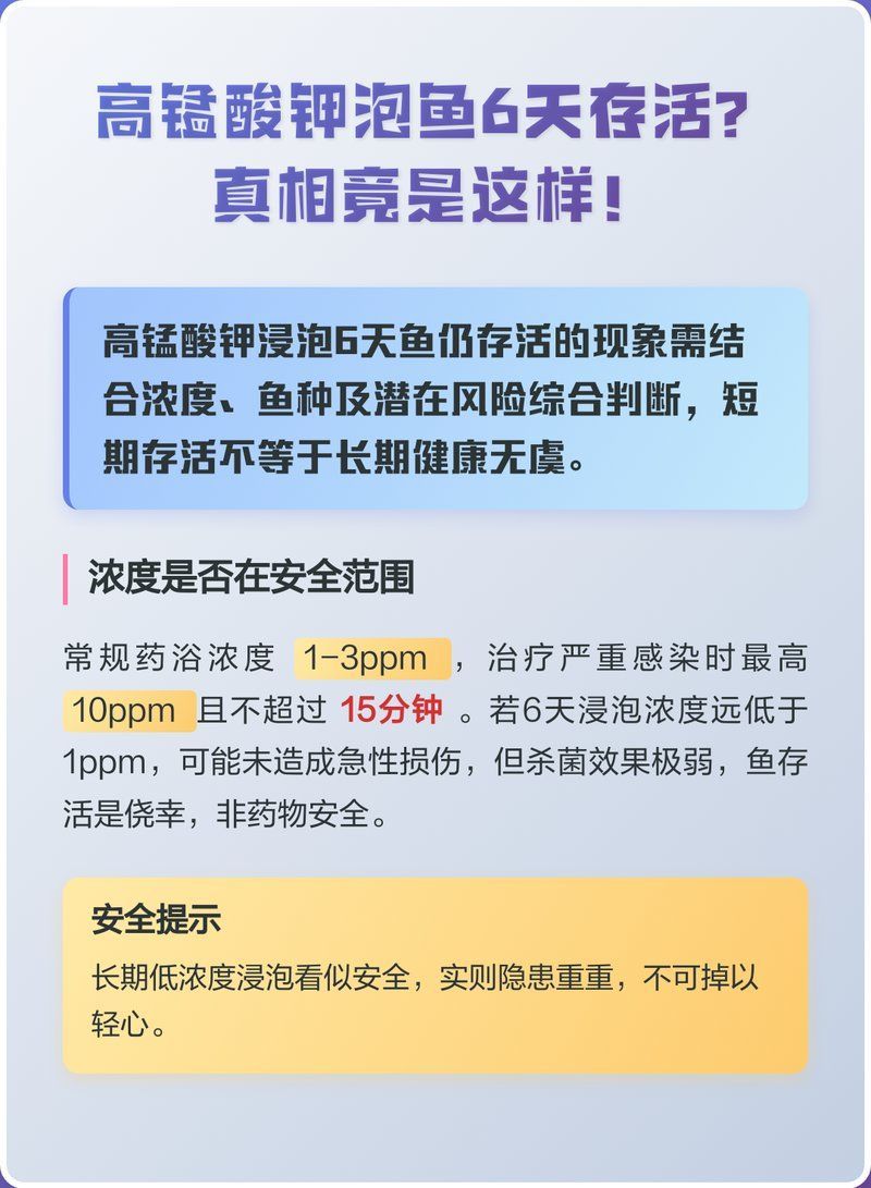 高錳酸鉀治療錦鯉爛尾有副作用嗎，高錳酸鉀治療錦鯉爛尾有副作用嗎高錳酸鉀泡魚6天存活真相