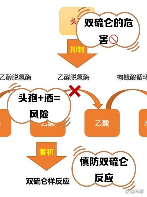 頭孢類抗生素如何正確使用