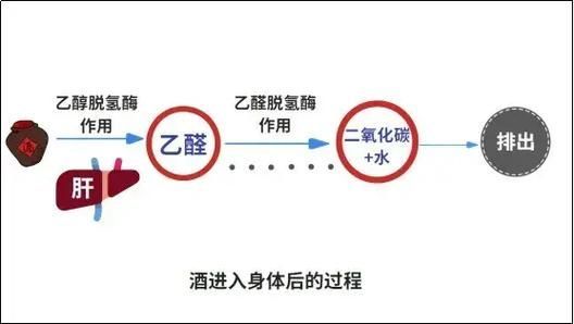 頭孢類抗生素如何正確使用