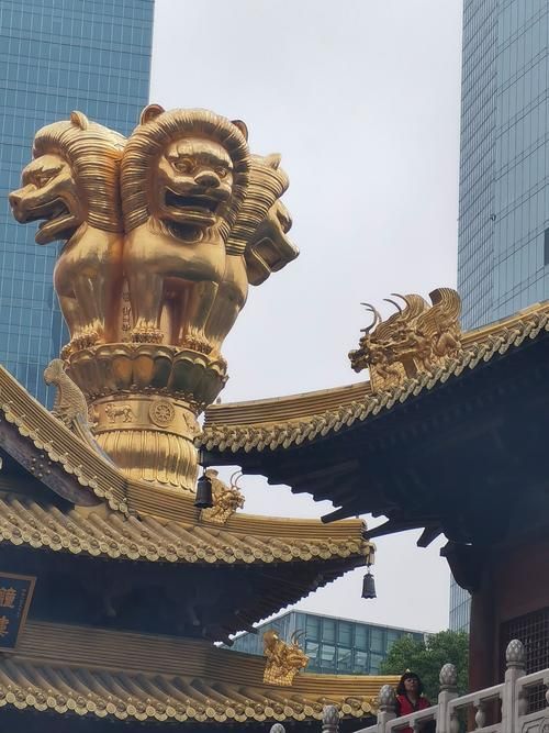 靜安寺有沒有龍魚展示？，靜安寺周邊春節光影打卡點的詳細路線圖靜安寺有沒有龍魚展示