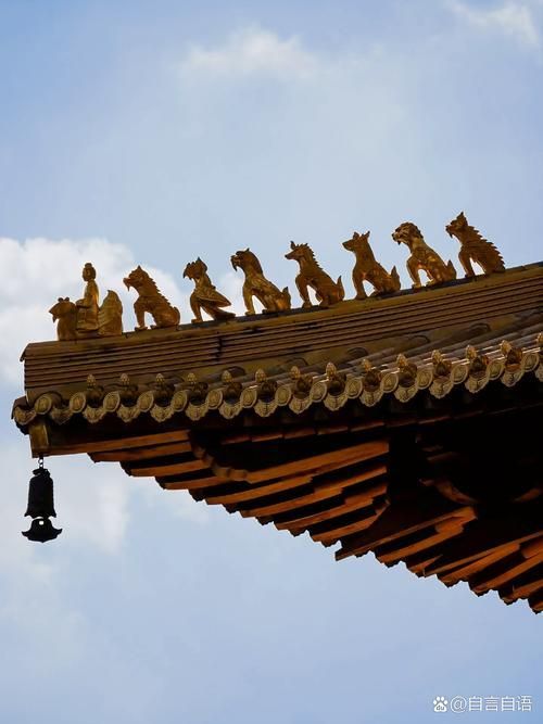 靜安寺有沒有龍魚展示？，靜安寺周邊春節光影打卡點的詳細路線圖靜安寺有沒有龍魚展示