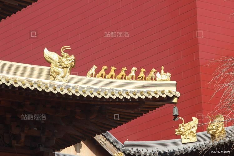 靜安寺有沒有龍魚展示？，靜安寺周邊春節光影打卡點的詳細路線圖靜安寺有沒有龍魚展示