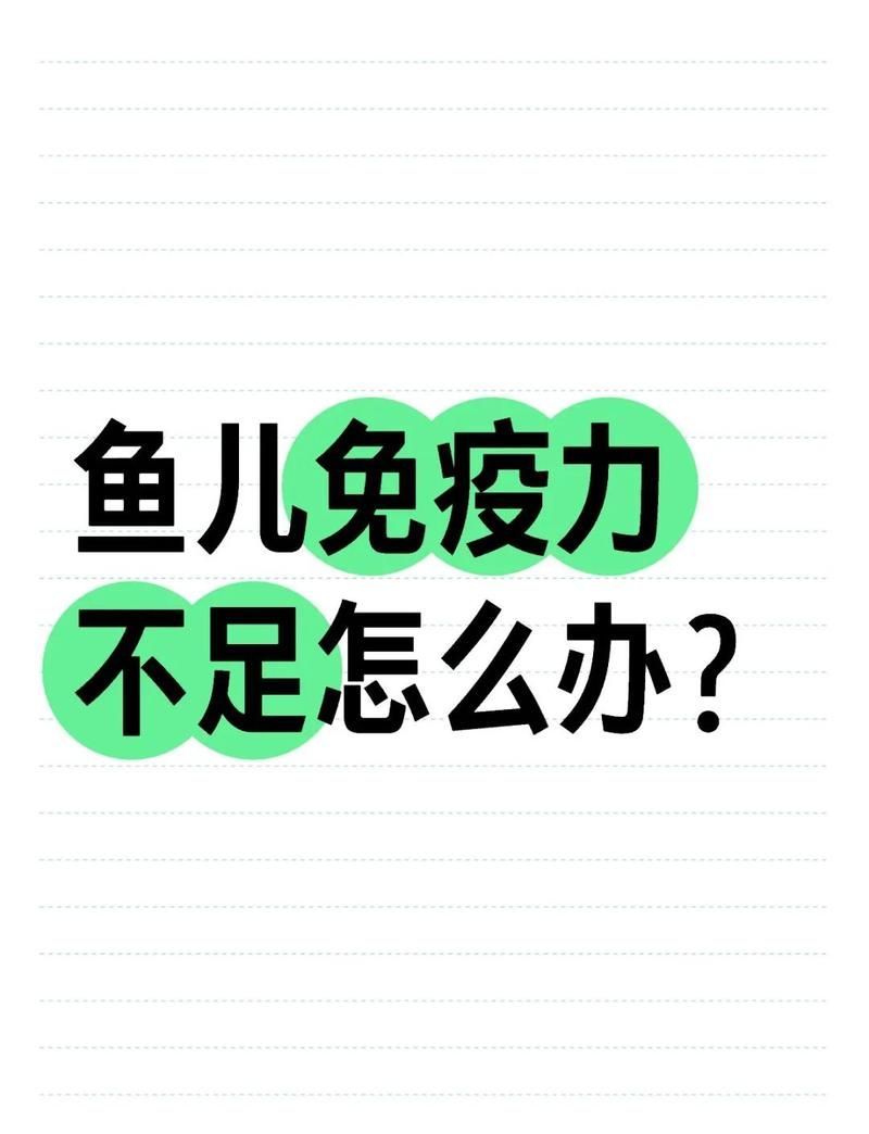 如何提升魚體自身抵抗力，提升魚體自身抵抗力
