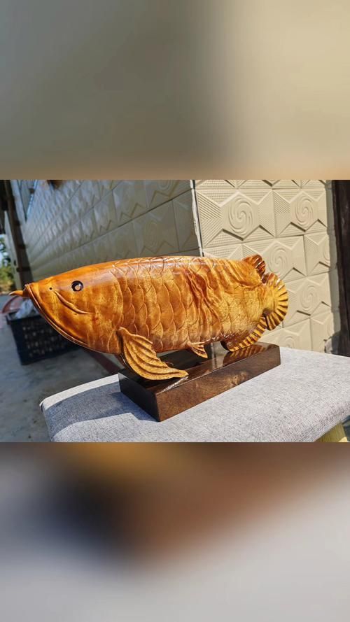 屏南龍魚有哪些獨特的品種？，《屏南龍魚》