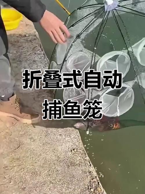 魚籠哪個品牌最好，高性價比魚籠選購清單