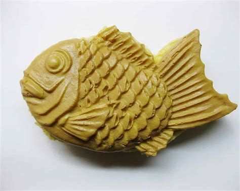 如何預防金龍魚嘴上長肉疙瘩？，如何預防金龍魚嘴上長肉疙瘩
