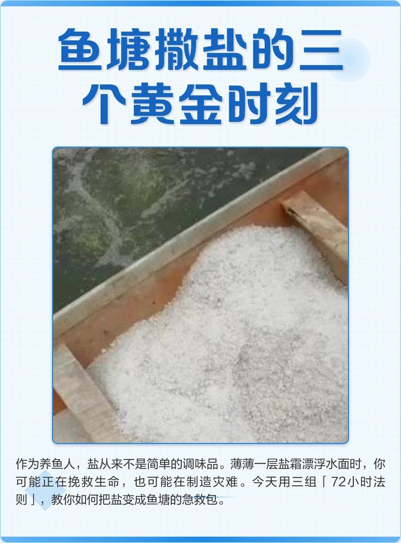 加鹽后多久換水合適