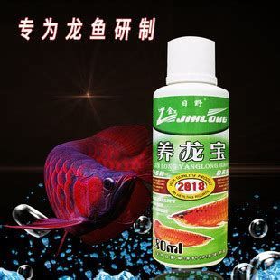 龍魚爛鰓最簡(jiǎn)單三個(gè)步驟，龍魚爛鰓最簡(jiǎn)單三個(gè)步驟，每一步都至關(guān)重要，