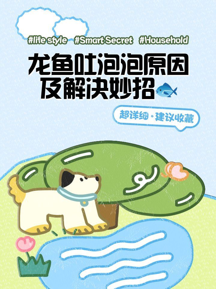 紅龍魚吐泡泡是什么意思，紅龍魚吐泡泡會自行恢復嗎