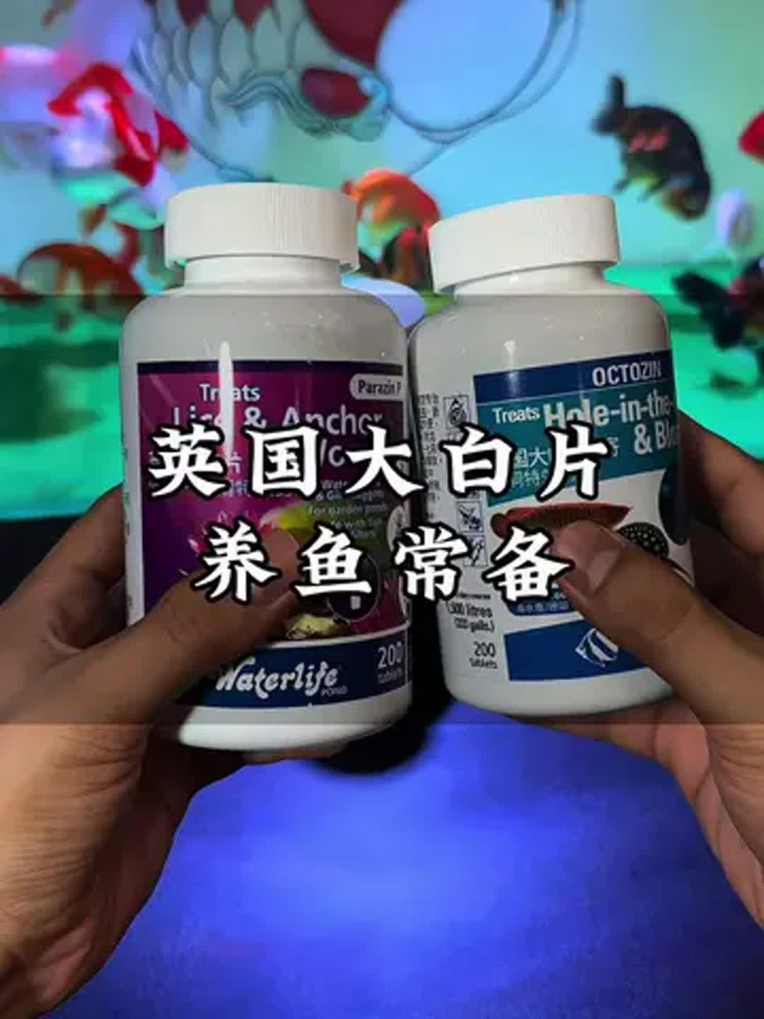 如何判斷龍魚是否需要大白片？，———科學診斷與用藥決策指南