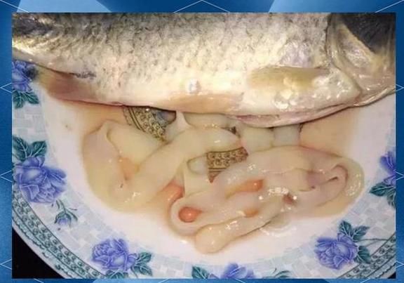 如何判斷魚是否有內(nèi)臟寄生蟲，如何判斷魚是否有內(nèi)臟寄生蟲調(diào)用工具arxiv論文助手
