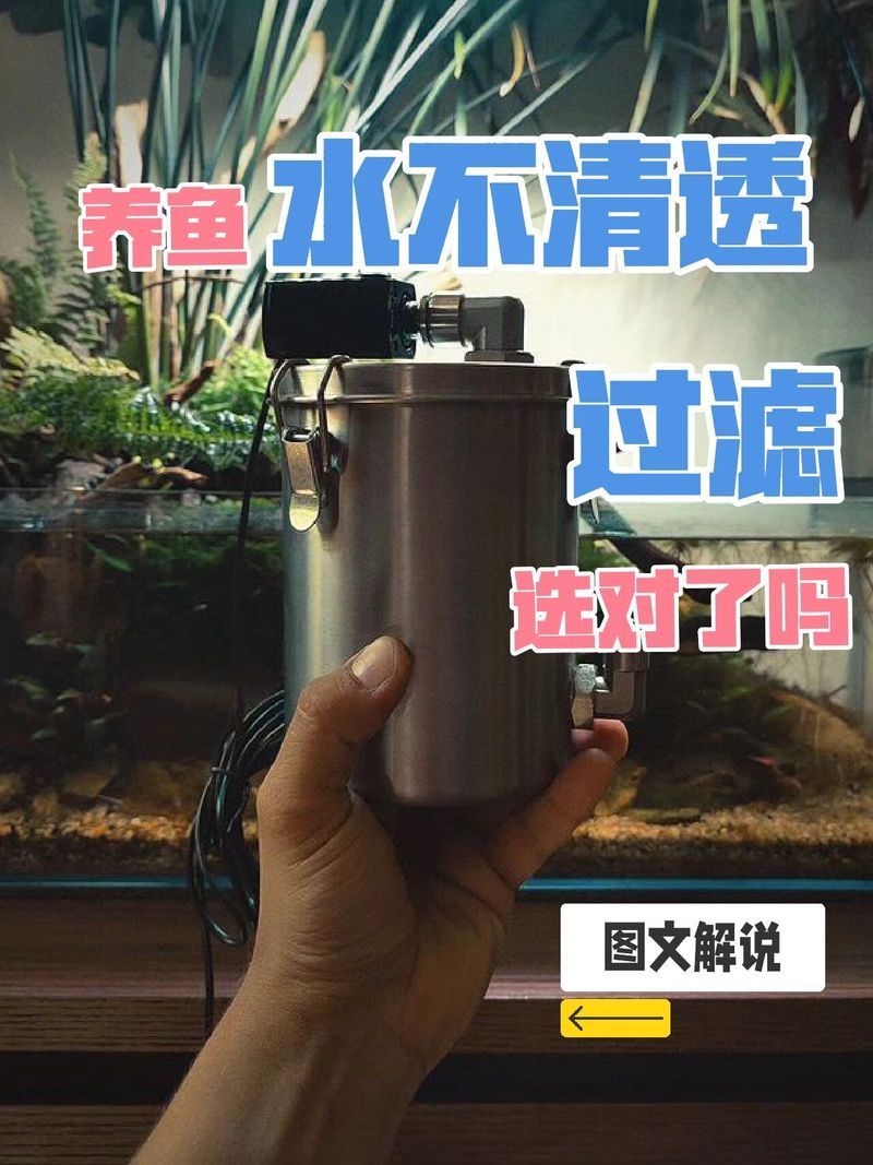 如何選擇適合魚(yú)缸的過(guò)濾器，7種魚(yú)缸過(guò)濾器優(yōu)缺點(diǎn)對(duì)比，哪種適合你