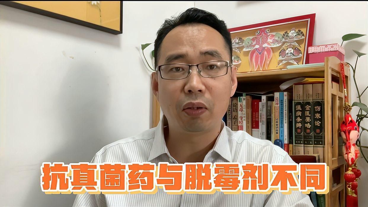 如何選擇適合的抗真菌藥物，抗真菌藥物pkpd分類