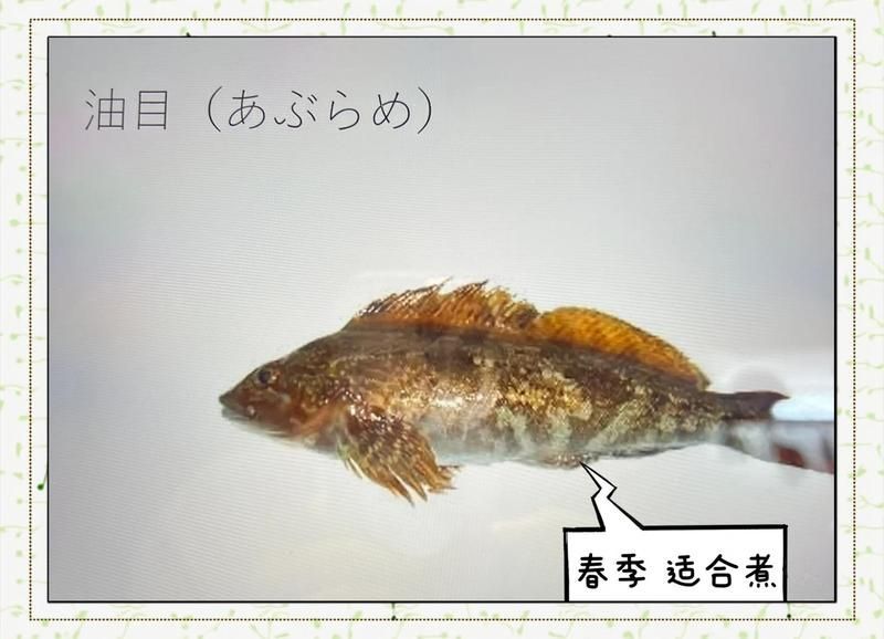 日本十大名魚有哪些食用方法，日本十大名魚吃法