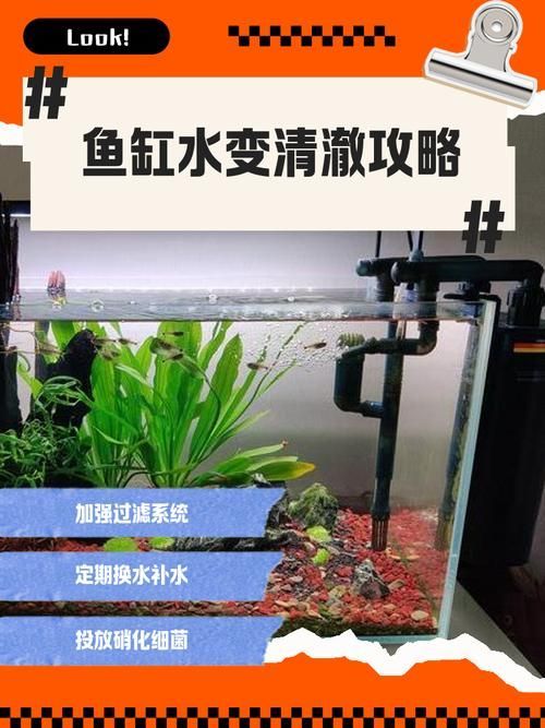 如何選擇適合的水族箱過濾系統