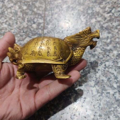 龍龜材質(zhì)有哪些種類，龍龜材質(zhì)多樣，其材質(zhì)多樣，主要包括以下幾種材質(zhì)的龍龜