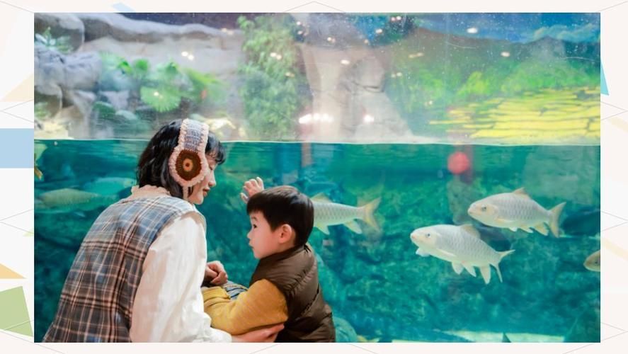 上海海洋水族館還有哪些限時展覽