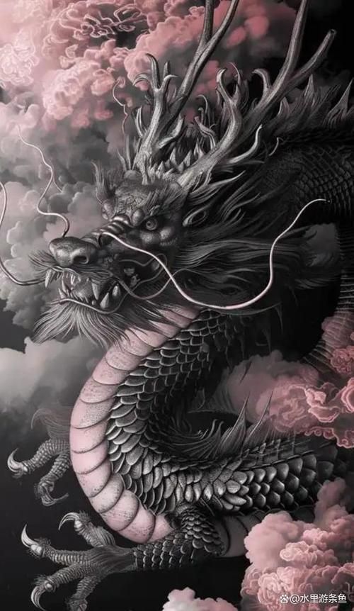 請提供一張關于黑龍的圖片，關于黑龍的一些小知識