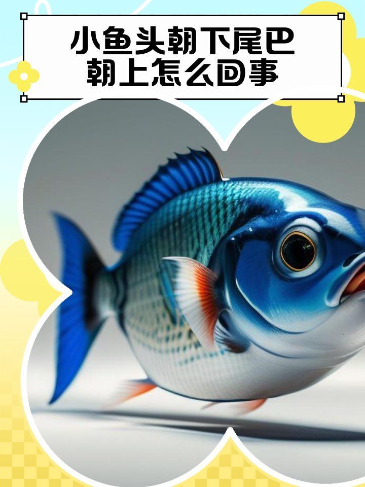 如何判斷魚鰾是否失衡，如何判斷金魚失鰾