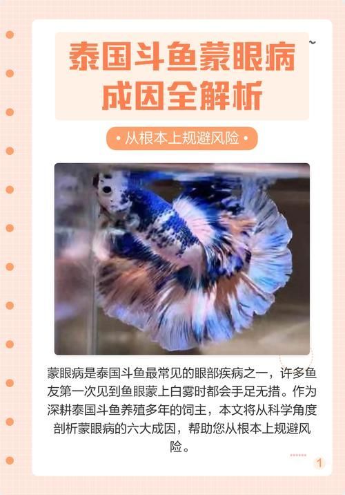 如何預防魚蒙眼病的再次發生