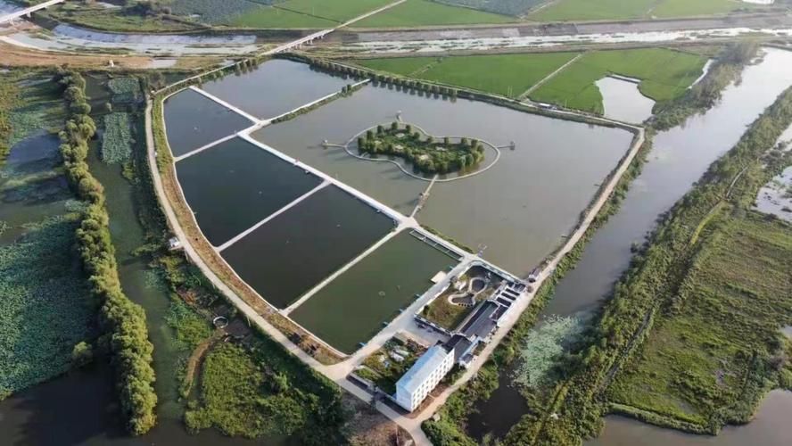 肥西龍魚養殖基地有哪些特色項目,肥西龍魚養殖基地有哪些特色項目肥西龍魚養殖基地
