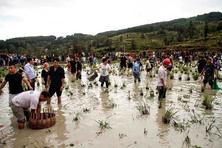 印江自治縣未來有計劃舉辦龍魚活動嗎，印江自治縣未來有計劃舉辦“龍魚活動”嗎？