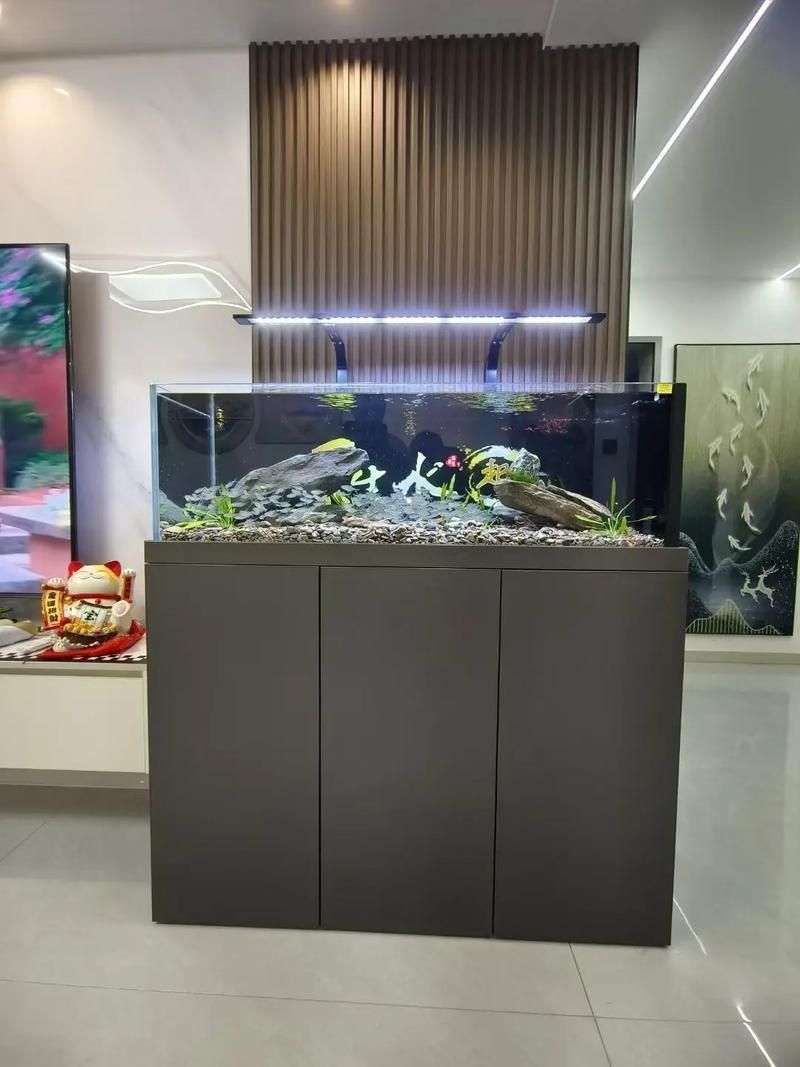 魚缸品牌哪個最好，2025家用魚缸品牌排行榜:告別智商稅