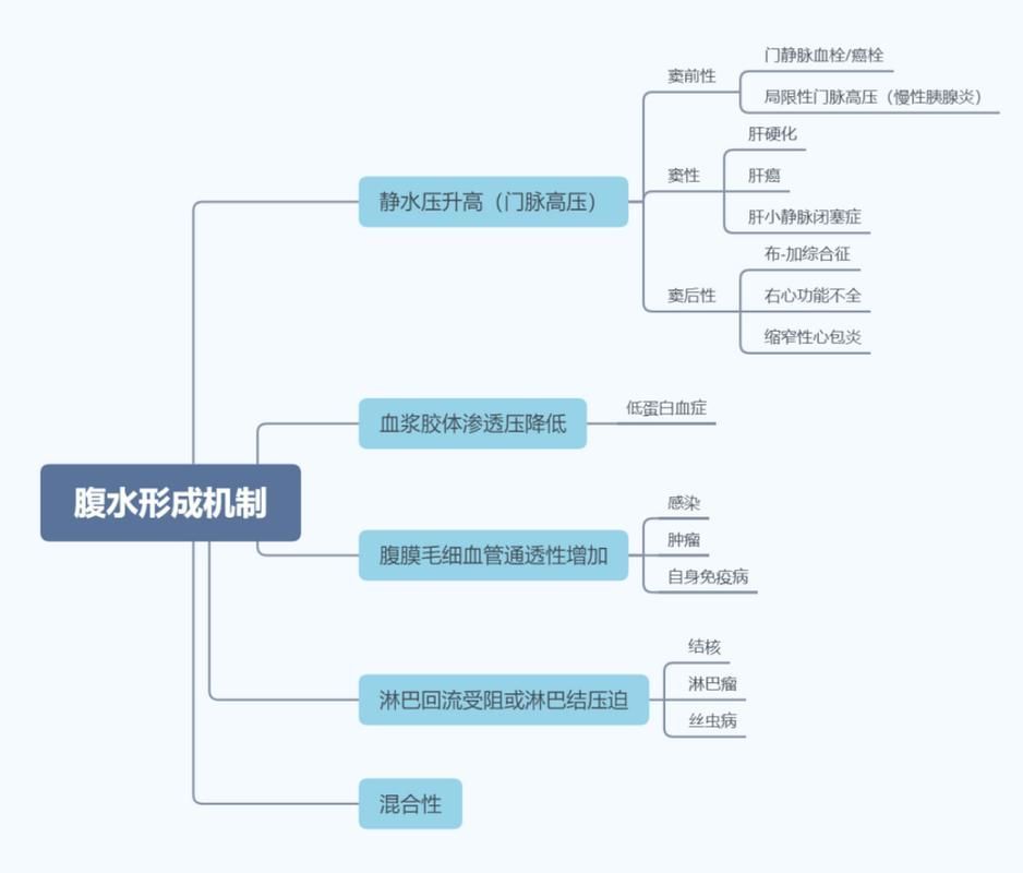 早期腹水病如何治療，早期腹水病治療流程圖
