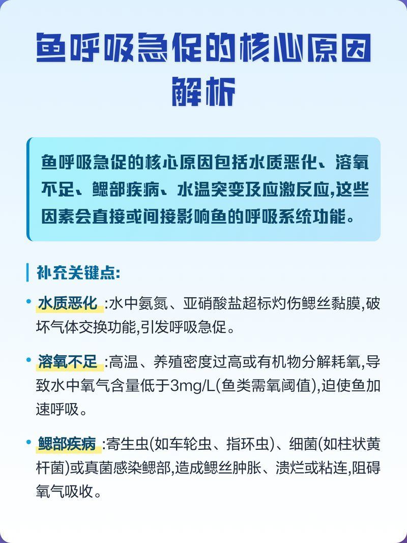 魚呼吸急促時應該多久喂一次食，魚呼吸急促時多久喂一次食