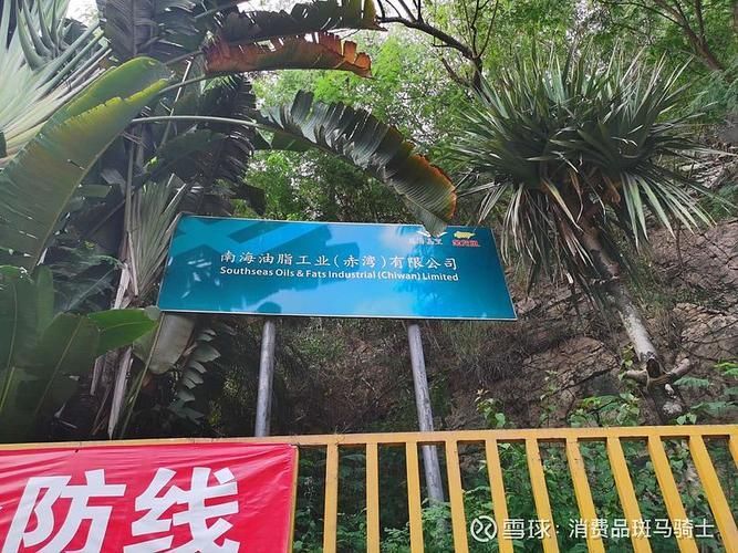 請提供金龍魚廣西工廠的歷史圖片，金龍魚廣西工廠歷史圖片