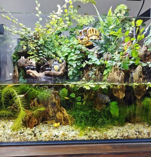 能否提供一張更詳細的飼養缸布置圖，一張詳細的飼養缸布置圖可以提供一張更詳細的飼養缸布置圖
