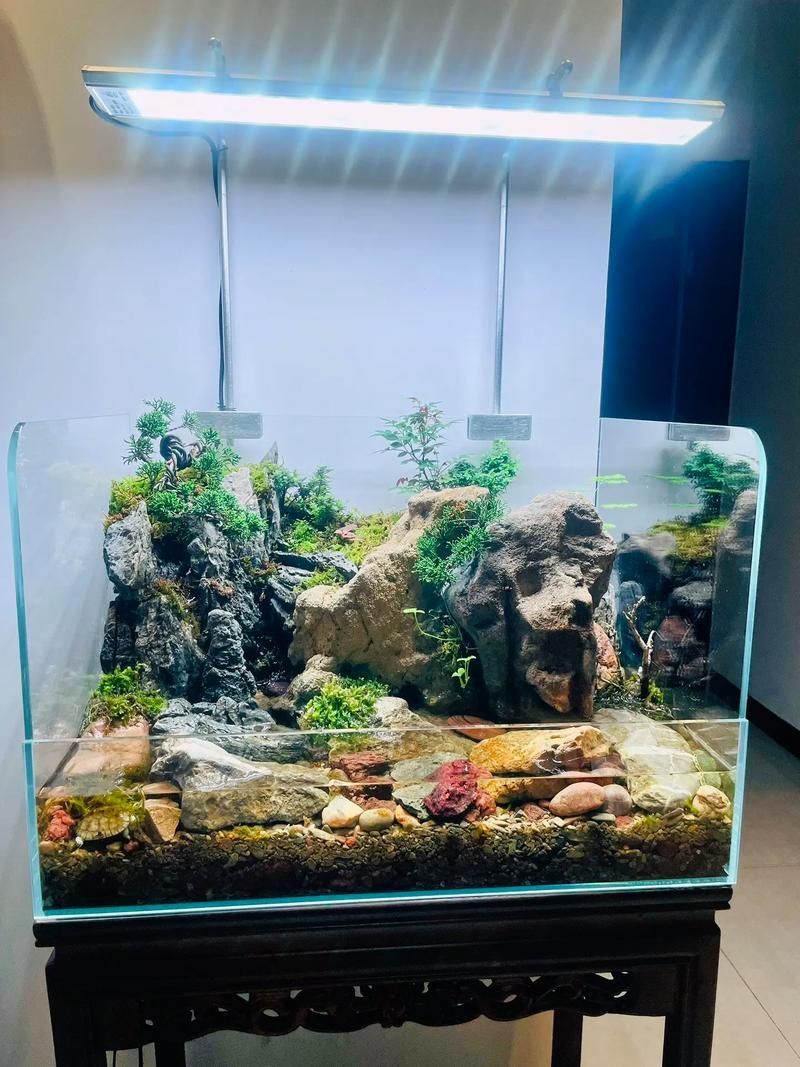 能否提供一張更詳細的飼養缸布置圖，一張詳細的飼養缸布置圖可以提供一張更詳細的飼養缸布置圖