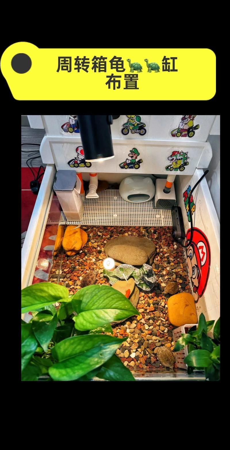 能否提供一張更詳細的飼養缸布置圖，一張詳細的飼養缸布置圖可以提供一張更詳細的飼養缸布置圖