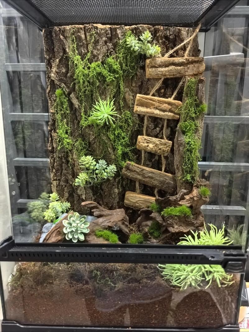 能否提供一張更詳細的飼養缸布置圖，一張詳細的飼養缸布置圖可以提供一張更詳細的飼養缸布置圖