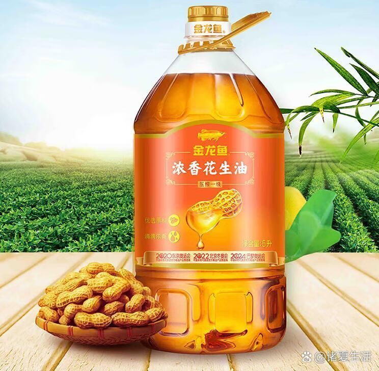 金龍魚哪個品牌最受歡迎？，金龍魚哪個品牌最受歡迎