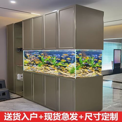 龍魚專用缸品牌推薦,備受推崇的龍魚專用缸品牌推薦,龍魚專用缸品牌推薦