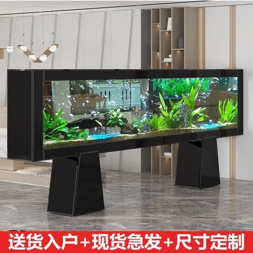 龍魚專用缸品牌推薦,備受推崇的龍魚專用缸品牌推薦,龍魚專用缸品牌推薦