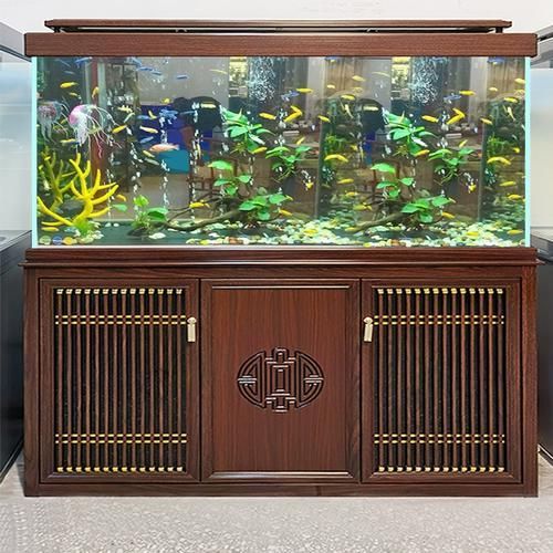 龍魚專用缸品牌推薦,備受推崇的龍魚專用缸品牌推薦,龍魚專用缸品牌推薦