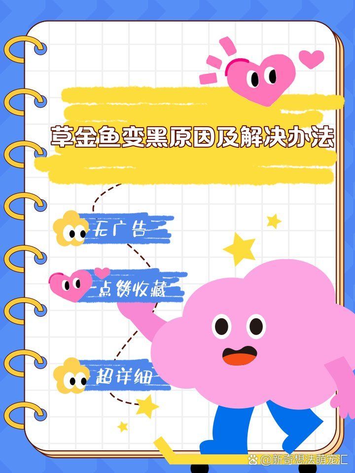 金魚發黑后還能恢復原色嗎，金魚發黑后還能恢復原色嗎金魚發黑后能恢復原色嗎