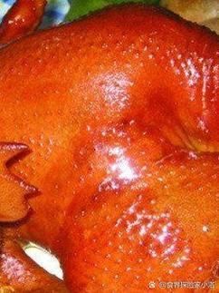 如何判斷非洲象鼻魚是否健康？，如何判斷非洲象鼻魚健康？