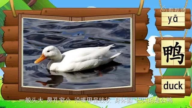 有沒有帶配圖的動物謎語，有沒有帶有配圖的動物謎語