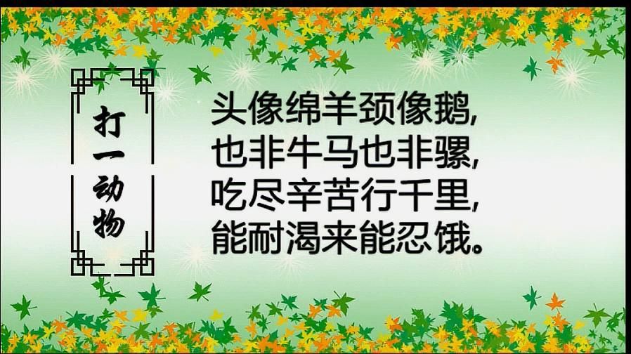 有沒有帶配圖的動物謎語，有沒有帶有配圖的動物謎語