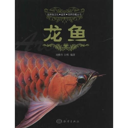 《龍魚》和《熱帶魚》分別講什么，《龍魚》與《熱帶魚》